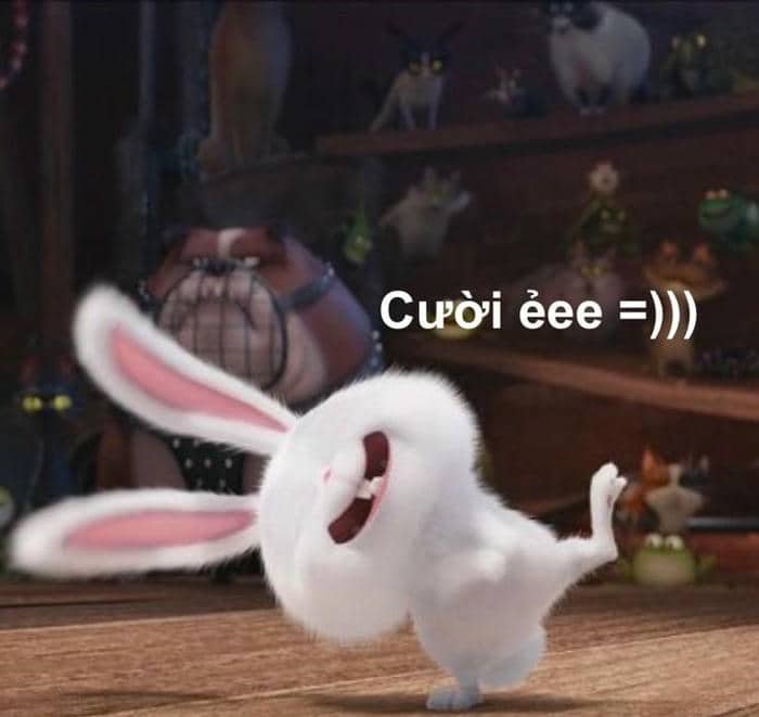 Ảnh hình meme cười ẻ