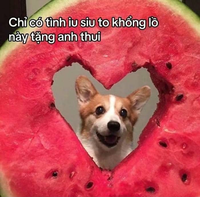 Ảnh meme tình yêu