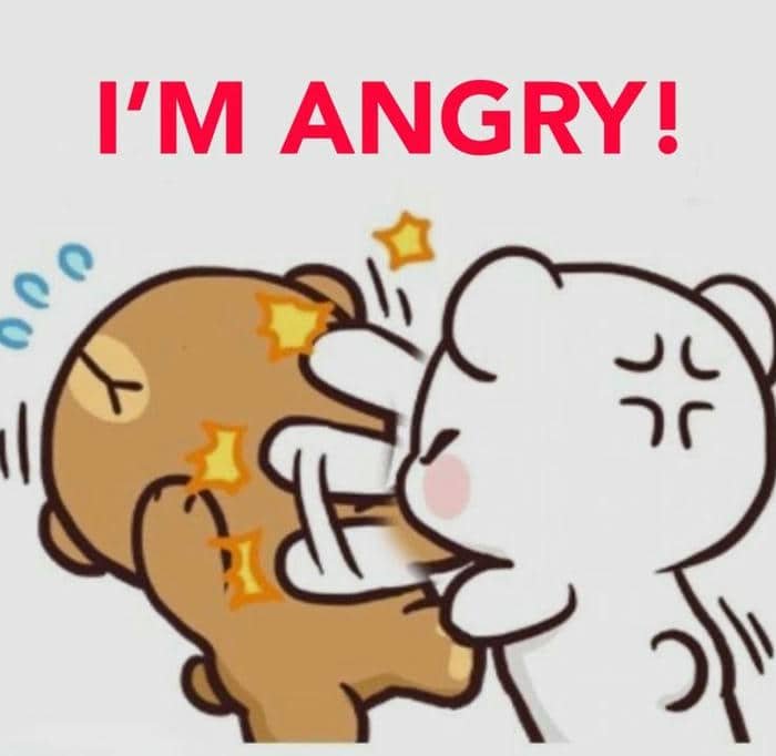 Ảnh meme tức giận cute