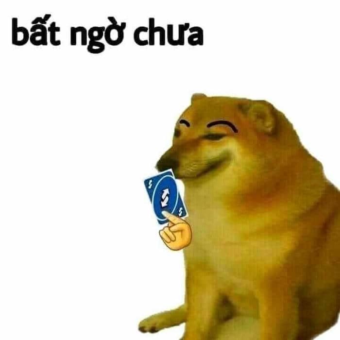 Bất ngờ chưa meme