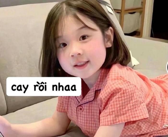 Giận dữ meme