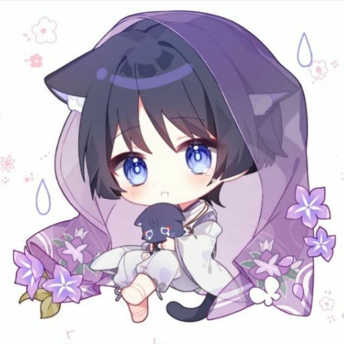 Hình ảnh Wanderer chibi mèo con siêu đáng yêu
