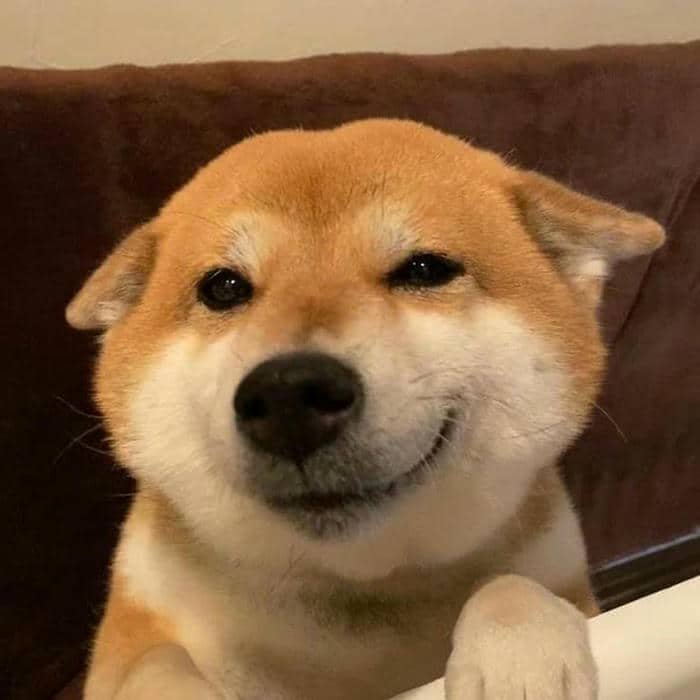 Hình ảnh meme cười nhếch mép đáng yêu