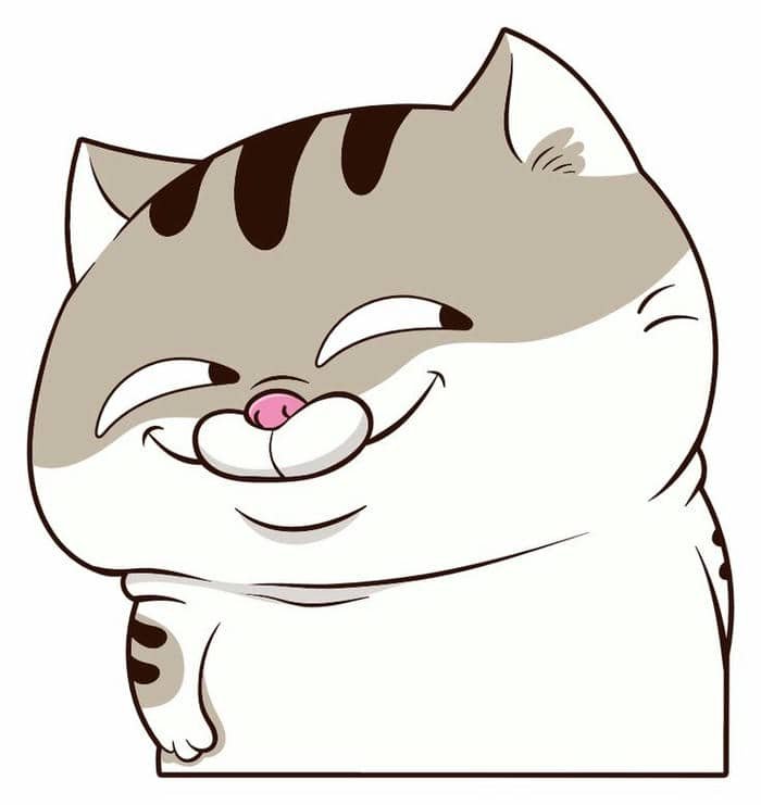 Hình ảnh mèo cười gian xảo cute