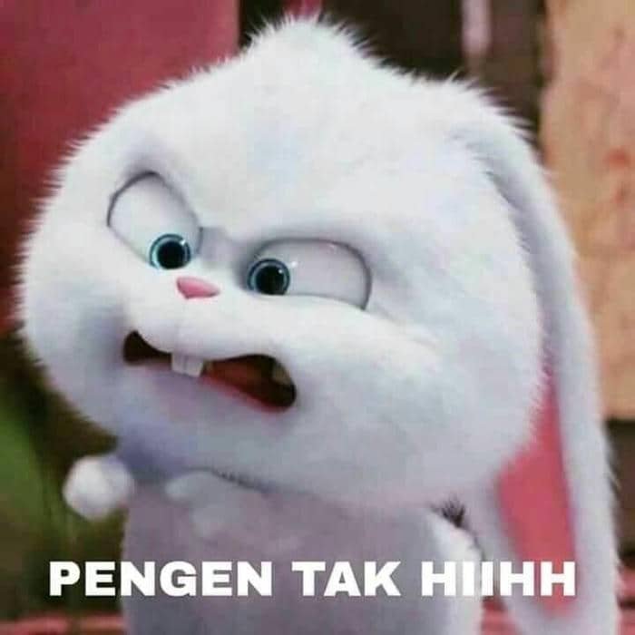 Hình meme tức giận