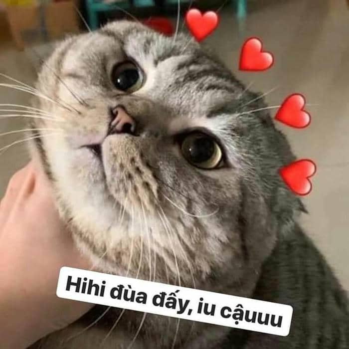 Meme dỗ người yêu