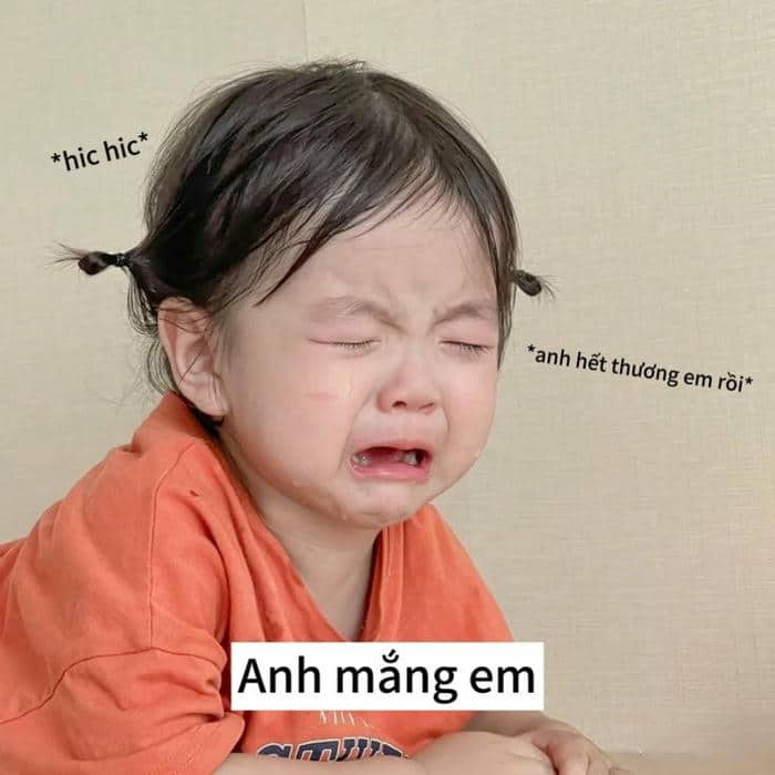 Meme dỗi