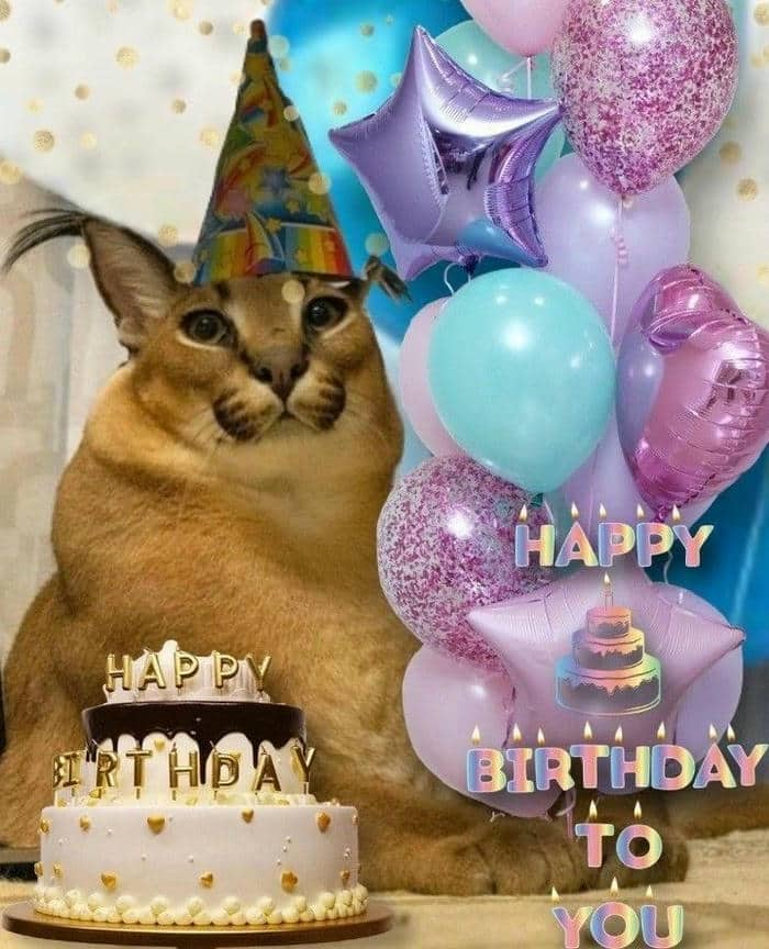 Meme happy birthday cat