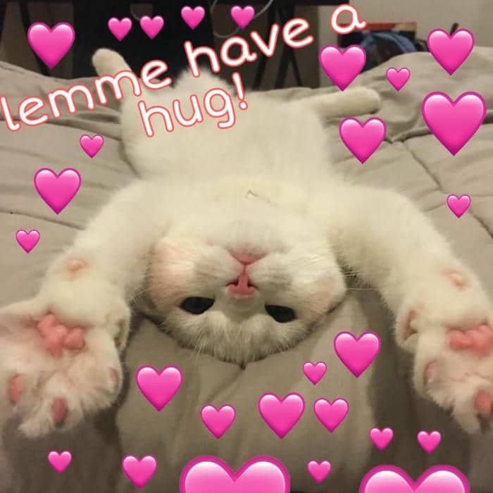 meme tình yêu