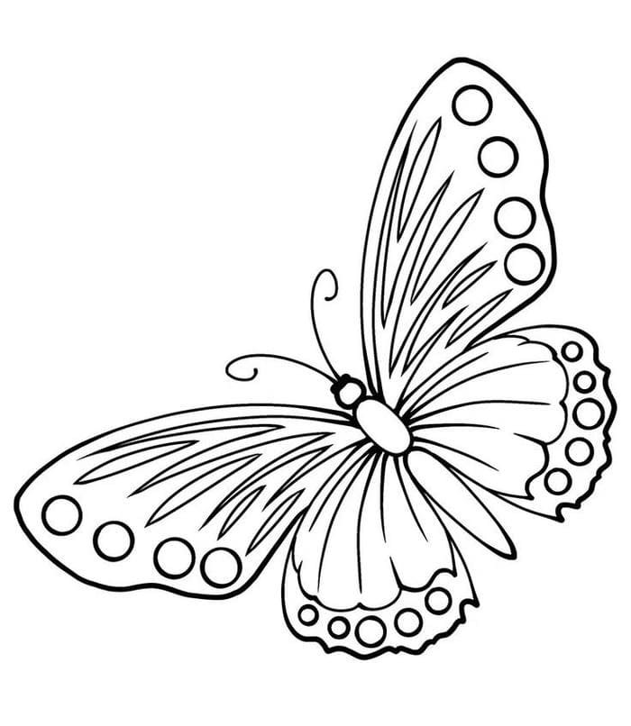 Tranh con bướm tô màu cho bé
