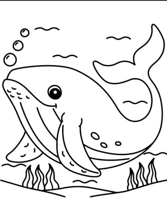 Hình ảnh tranh tô màu cá voi xanh đơn giản cho bé