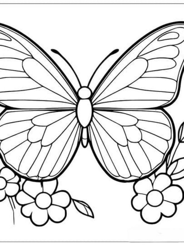 Hình con bướm tô màu đơn giản cho bé