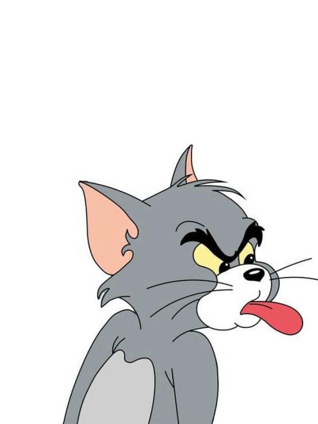 Tom and Jerry meme hài cute