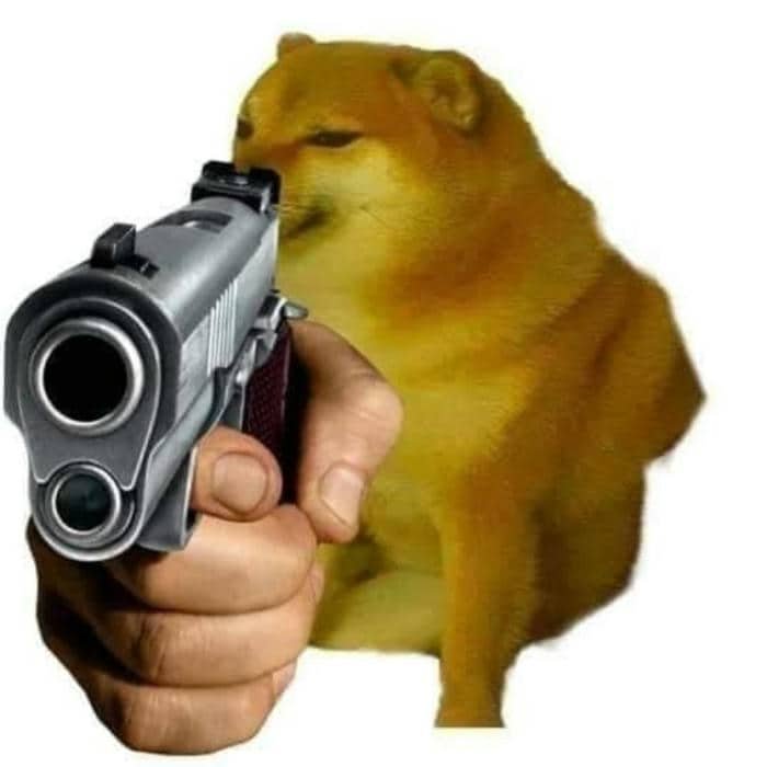 Ảnh meme chó cầm súng