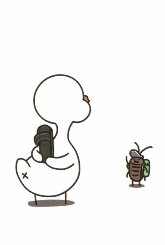 Ảnh meme con vịt hài hước