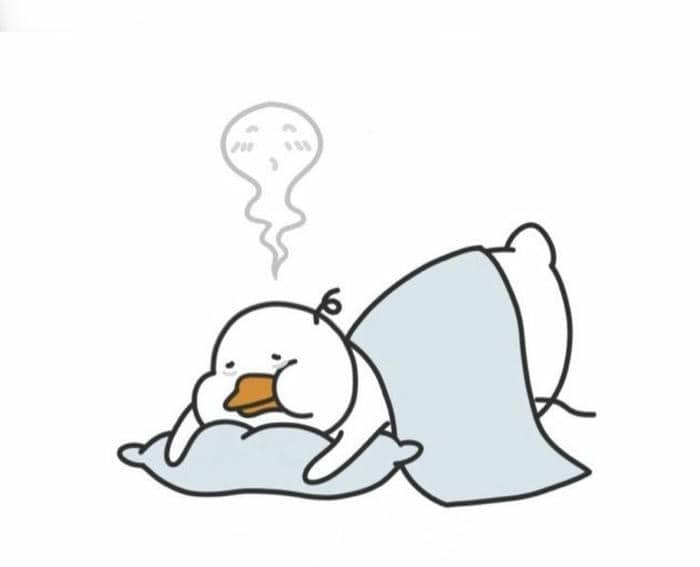 Ảnh meme con vịt