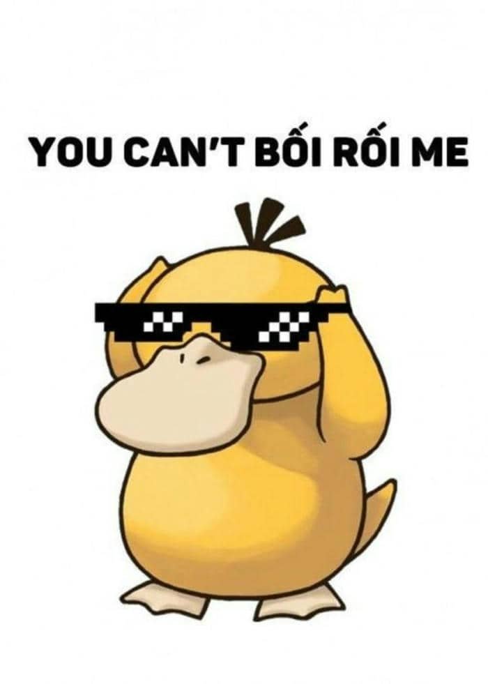 Ảnh vịt vàng meme