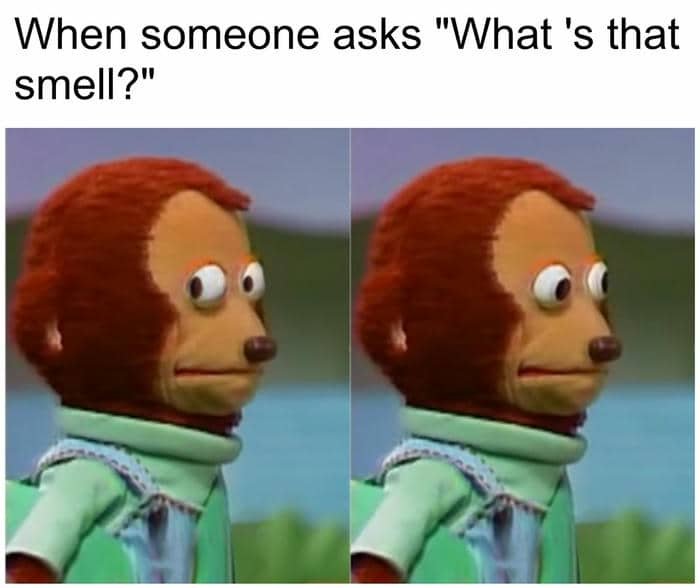 Con khỉ liếc meme