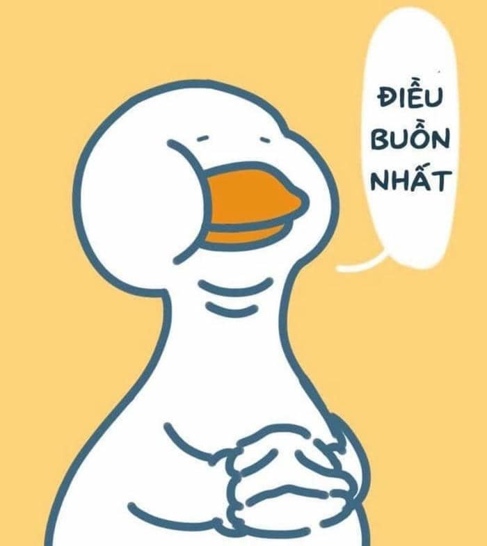 Hình ảnh con vịt meme