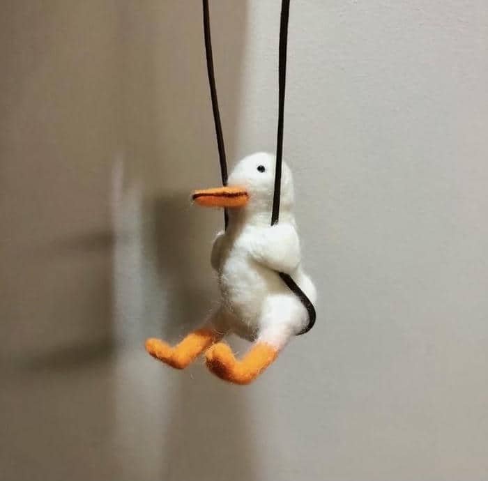 Hình con vịt meme