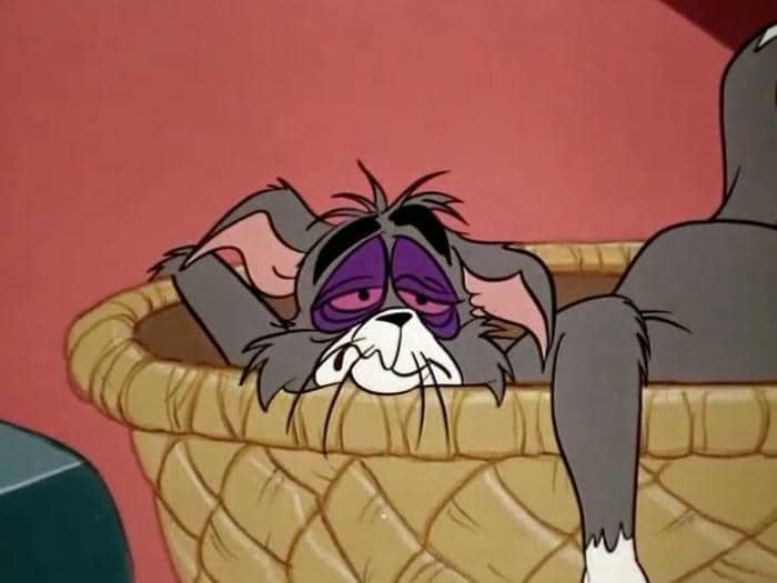 Hình meme con mèo mệt mỏi