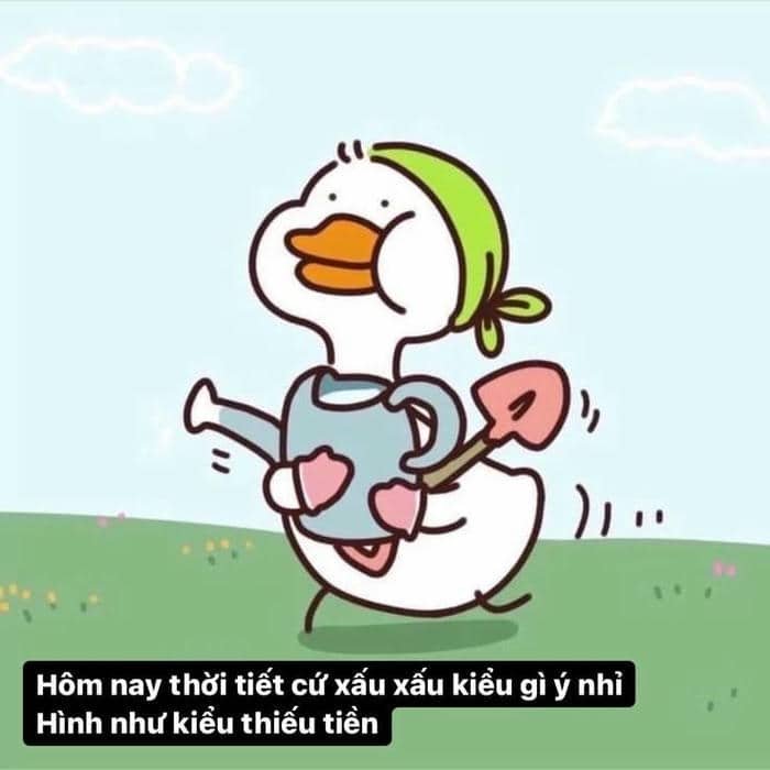 Hình meme vịt chế hài