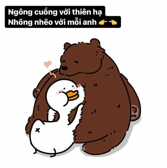 Hình meme vịt cute