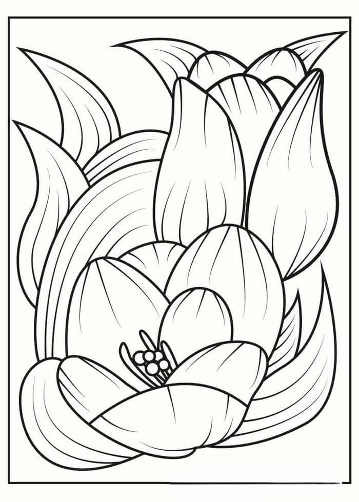 Hình tranh tô màu hoa tulip đơn giản