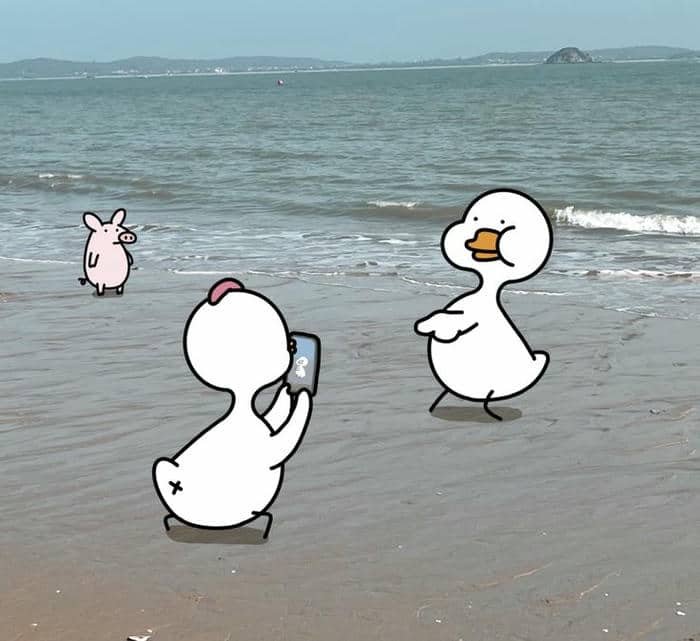 Hình vịt meme
