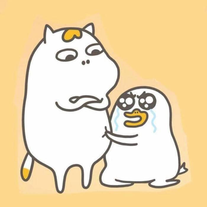 Meme ảnh vịt hài hước