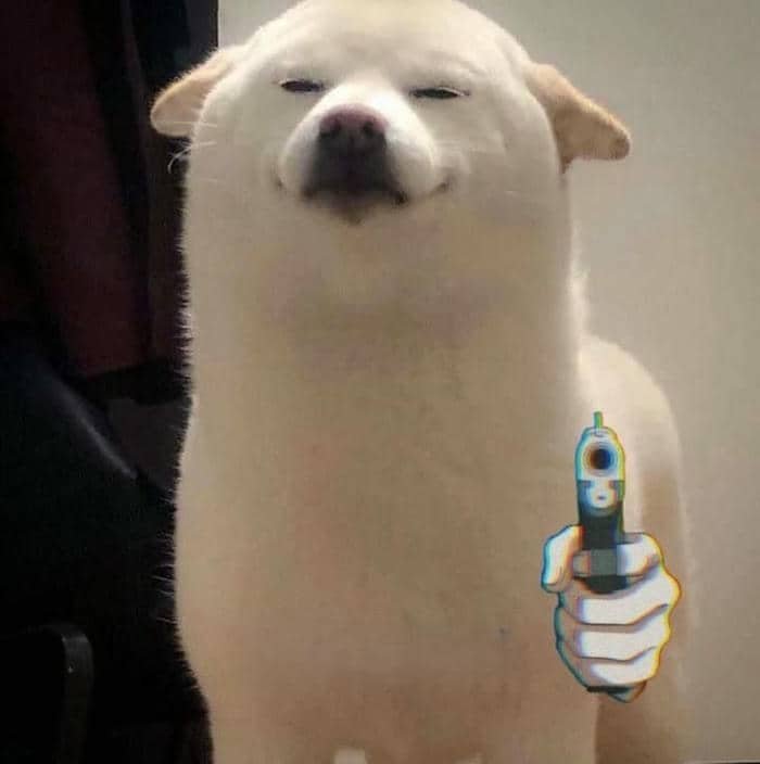 Meme chó cầm súng
