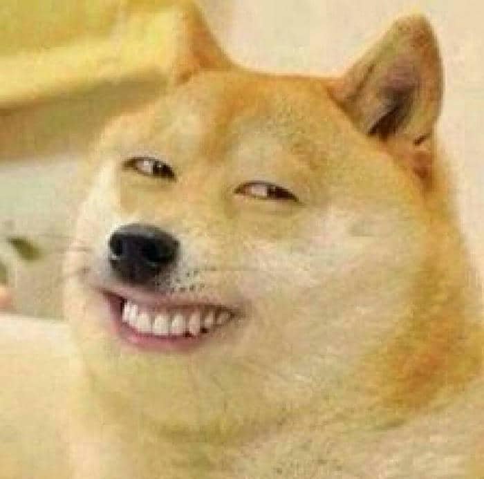 Meme con chó liếc