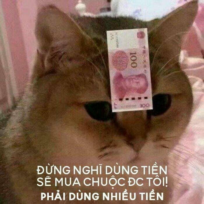Meme đập tiền vào mặt