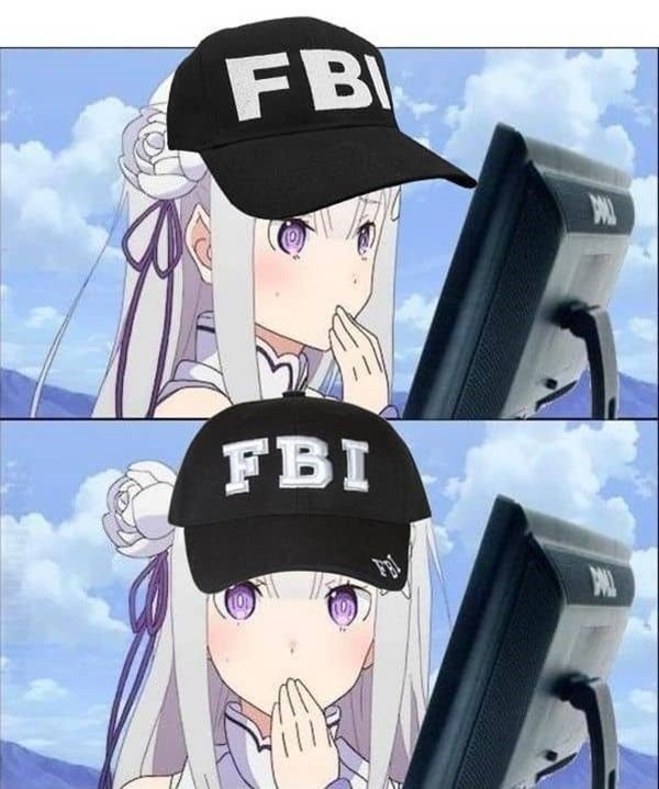 Meme hình fbi anime