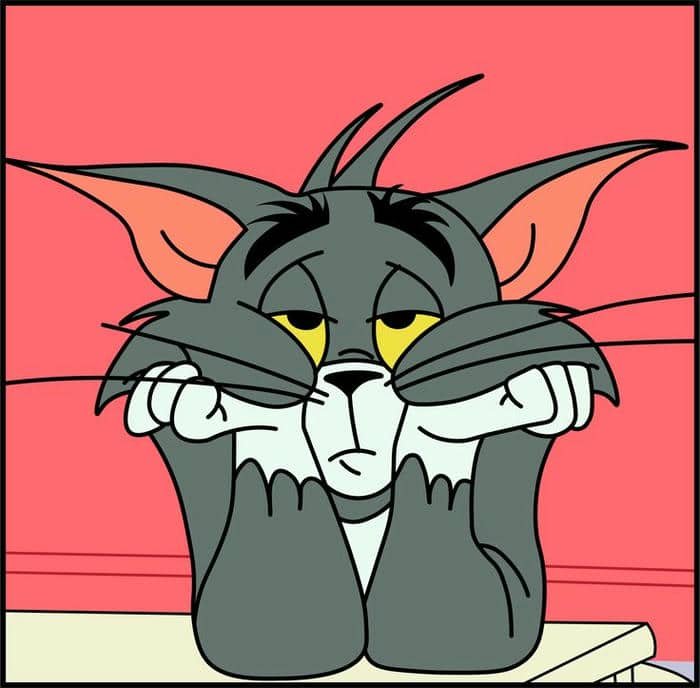 Meme hình mèo mệt mỏi cute