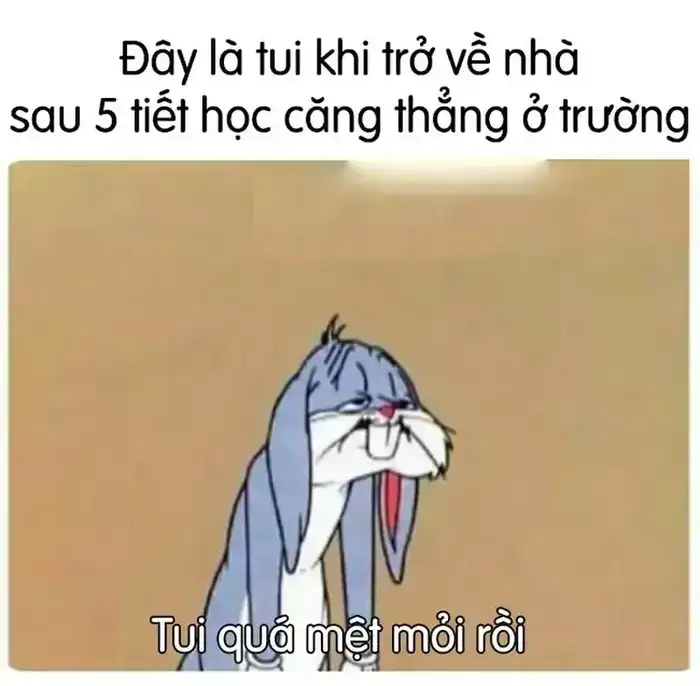 Meme học tập mệt mỏi
