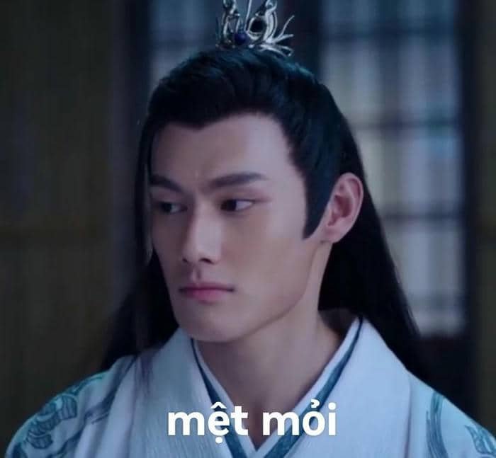 Meme mệt mỏi rồi