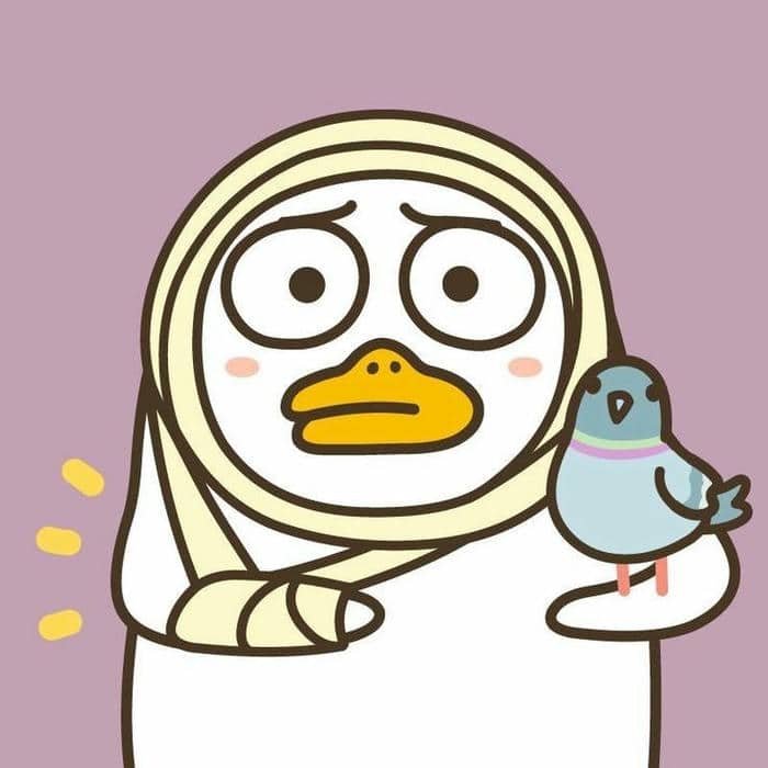 Meme thú mỏ vịt