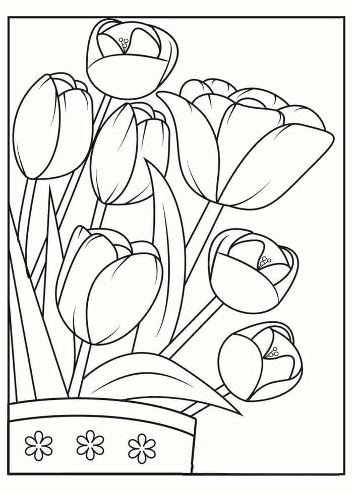 Tranh tô màu chậu hoa tulip đơn giản