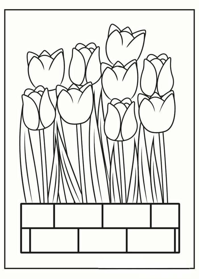 Tranh tô màu hoa tulip đẹp đơn giản