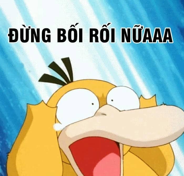 Vịt bối rối meme