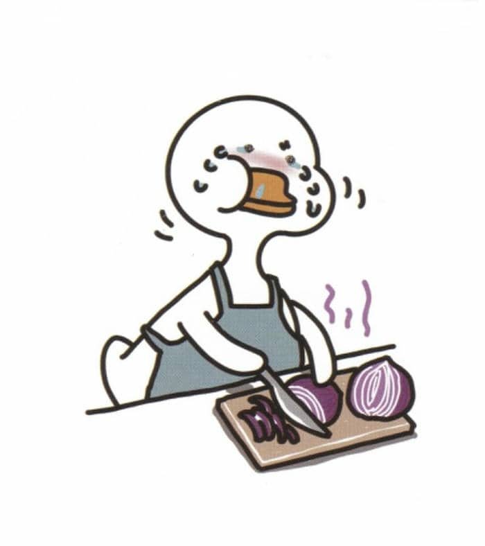 Vịt cầm dao meme