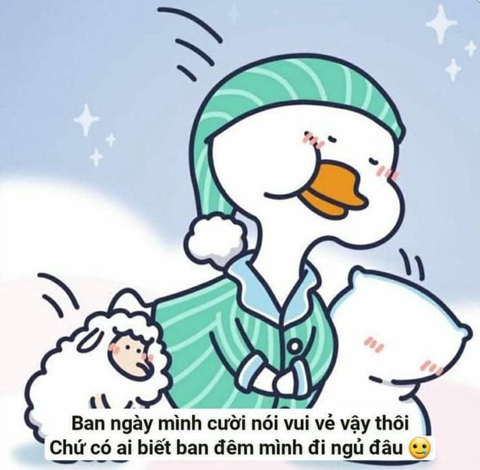 Vịt cute meme