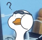 Bộ sưu tập 98+ ảnh vịt meme siêu bựa, hài hước