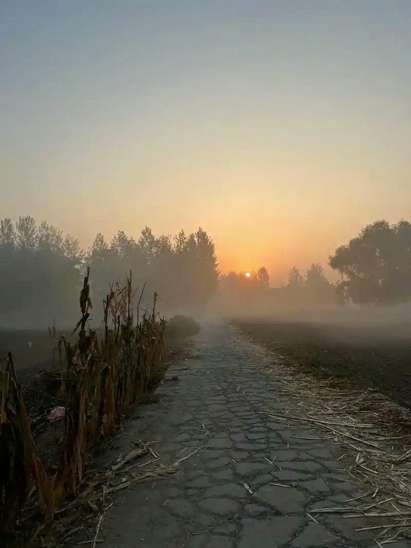 ảnh bình minh đẹp