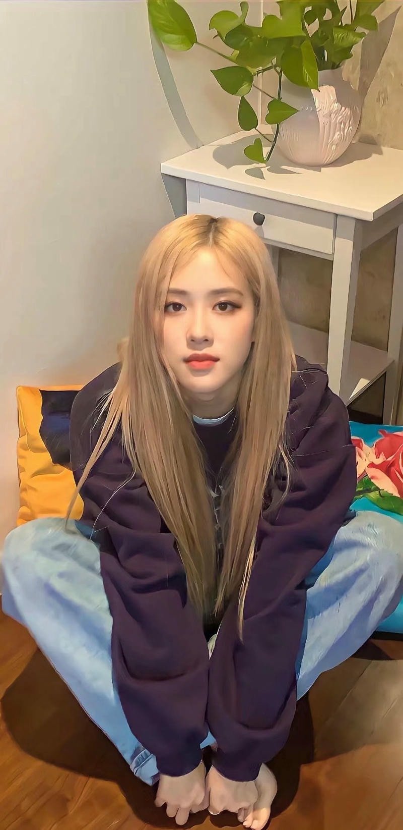 ảnh của black pink rose