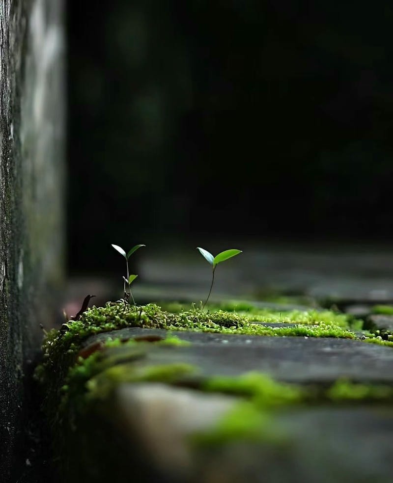 ảnh cực chill