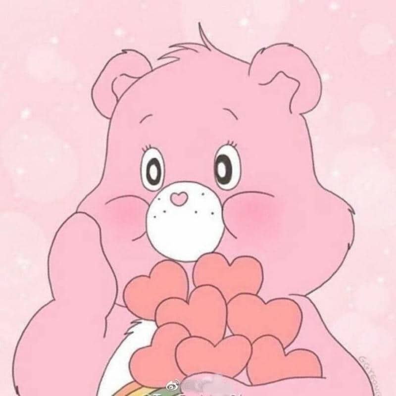 ảnh gấu cute