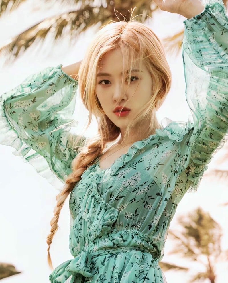ảnh rose