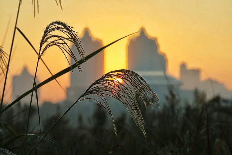 cảnh bình minh đẹp nhất